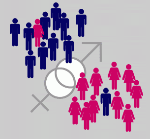 Gender action plan of BaH 2006 – 2011