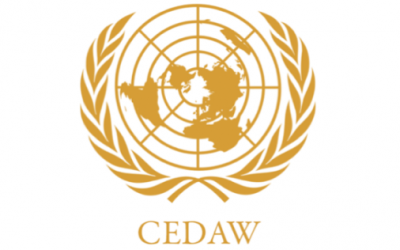 Zaključna zapažanja na Šesti periodični CEDAW izvještaj BiH