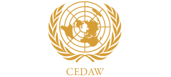 Zaključna zapažanja na Šesti periodični CEDAW izvještaj BiH