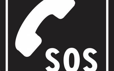 ANALIZA  SOS telefon 1265 za pomoć žrtvama nasilja u porodici u Federaciji Bosne i Hercegovine